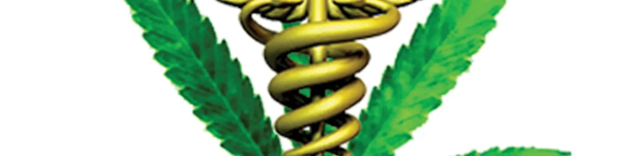 Flavors Radio Show International